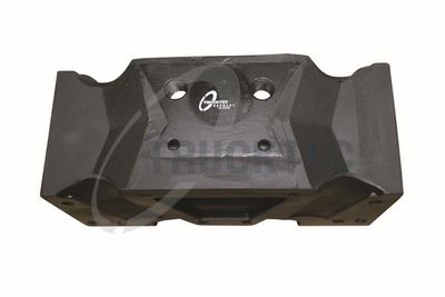 TRUCKTEC AUTOMOTIVE Variklio montavimas