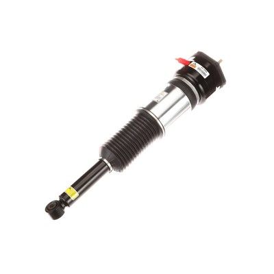 LUFTFEDERBEIN Arnott AS2856 61