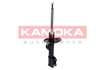 Shock Absorber 2000256