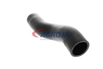 FURTUN EAR SUPRAALIMENTARE ACKOJA A529600 19