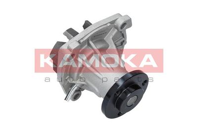 Water Pump, engine cooling T0011