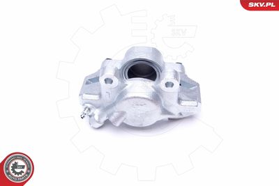 Brake Caliper 45SKV861