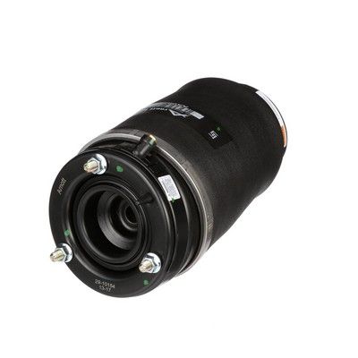 LUFTFEDER FAHRWERK Arnott A2934 48