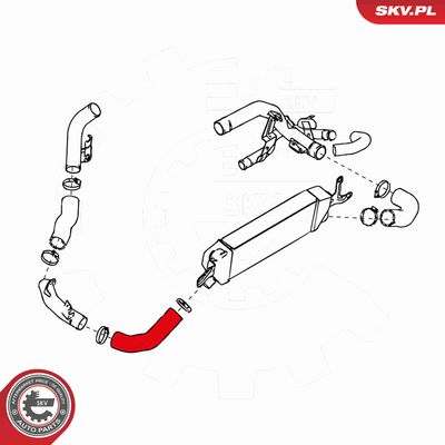 FURTUN EAR SUPRAALIMENTARE ESEN SKV 24SKV956 3
