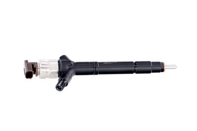 INJECTOR REMANTE 002003002041R 39