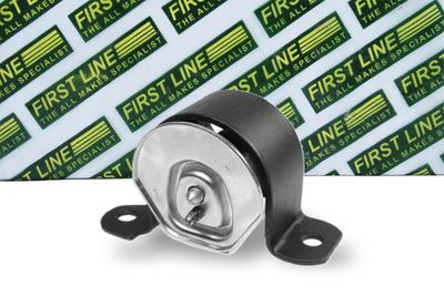 окачване, двигател FIRST LINE FEM3435