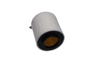FILTRU AER AMC Filter FAF10108 22