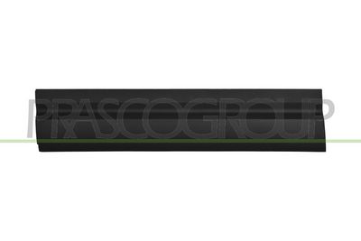 ZIER-/SCHUTZLEISTE TüR