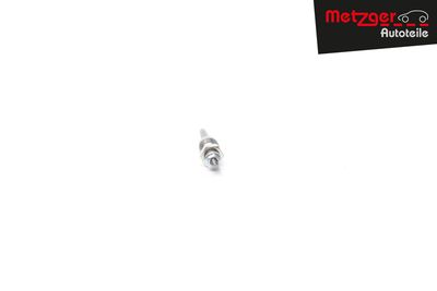 BUJIE INCANDESCENTA METZGER AUTOTEILE H1159 10