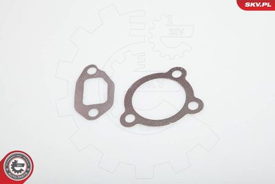 EGR Valve 14SKV031