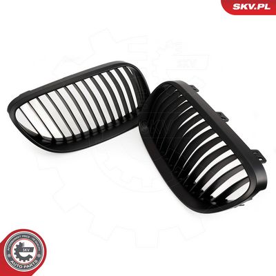 GRILA RADIATOR ESEN SKV 66SKV113 2