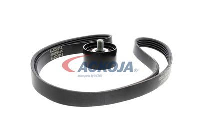 SET CUREA TRANSMISIE CU CANELURI ACKOJA A520515 51