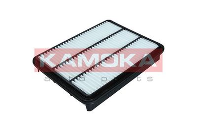 Air Filter F248701