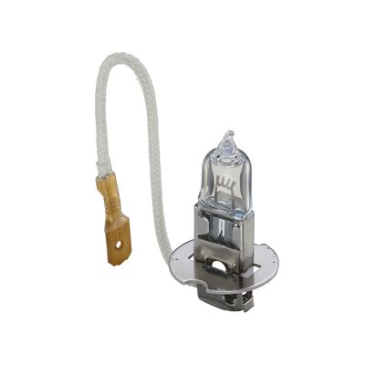 BEC INCANDESCENT BOSCH 1987302431 22