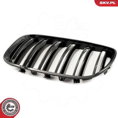GRILA RADIATOR ESEN SKV 66SKV281 6