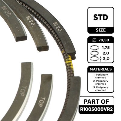 SET SEGMENTI PISTON ET ENGINETEAM R1005000VR2 1