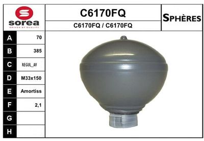 DRUCKSPEICHER FEDERUNG/DäMPFUNG SNRA C6170FQ