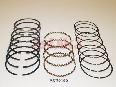 SEGMENT PISTON