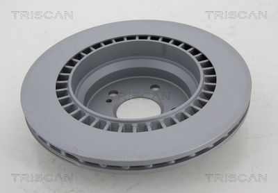 DISC FRANA TRISCAN 8120231017C 1