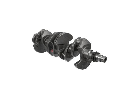 ARBORE COTIT ET ENGINETEAM HK0228 8