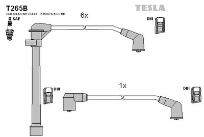 TESLA T265B TESLA T265B