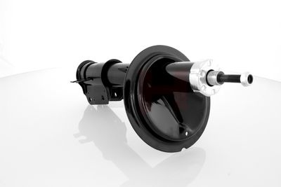 AMORTIZOR GH GH322355 24