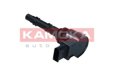 Ignition Coil 7120136