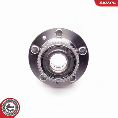 SET RULMENT ROATA ESEN SKV 29SKV036 2