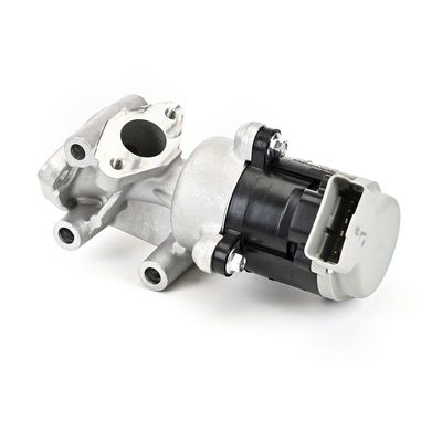 AGR-VENTIL DELPHI EG1063512B1 15