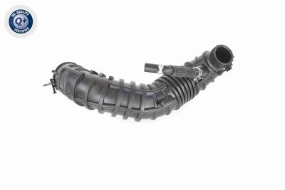 FURTUN EAR SUPRAALIMENTARE ACKOJA A520641 6