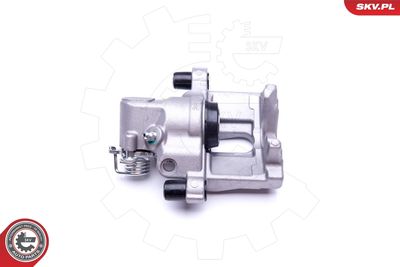 Brake Caliper 42SKV544