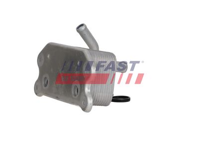 RADIATOR ULEI ULEI MOTOR FAST FT04697 3