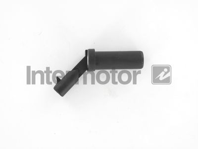 Датчик частоты вращения, автоматическая коробка передач INTERMOTOR 17244 для BMW X5