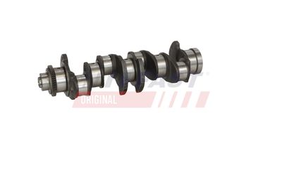 ARBORE COTIT FAST FT51759 11