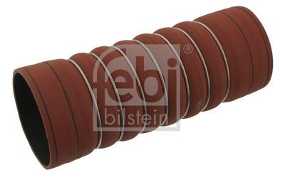 Charge Air Hose 30196