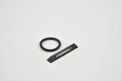 GARNITURA FLANSA LICHID RACIRE FEBEST TTTRAFII 46