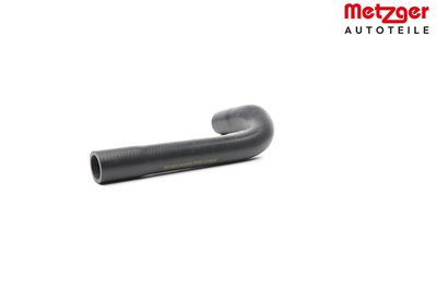 33 Artikelbild