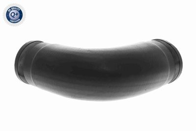 LADELUFTSCHLAUCH VAICO V102887 1