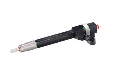 INJECTOR REMANTE 002003001108R 6