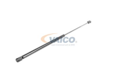 GASFEDER KOFFER-/LADERAUM VAICO V240044 55