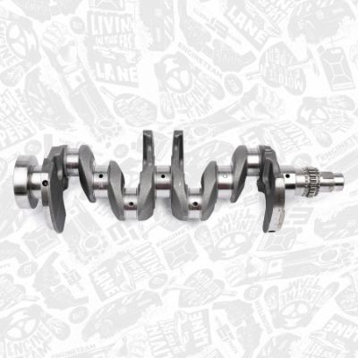 ARBORE COTIT ET ENGINETEAM HK0190 1