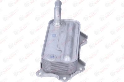 RADIATOR ULEI ULEI MOTOR BIRTH 80856 5