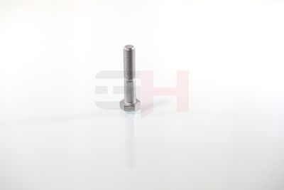 SURUB CAPAT DE AX GH GH392360 29