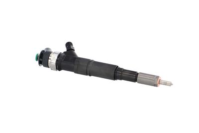 INJECTOR REMANTE 002003001184R 46