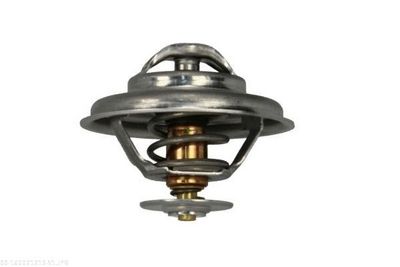 TERMOSTAT LICHID RACIRE AUTOMEGA 160021210 1