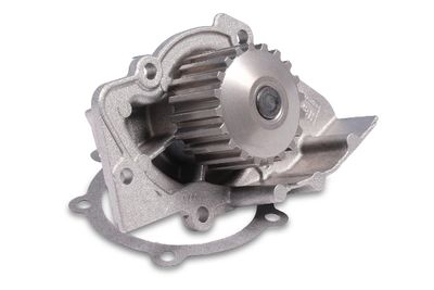 Water Pump, engine cooling P841