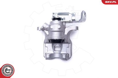 Brake Caliper 55SKV843