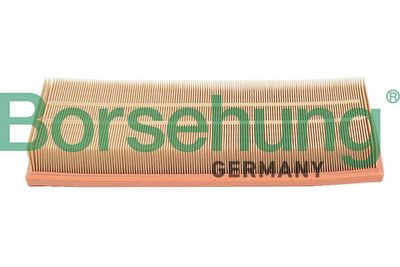 Borsehung Oro filtras