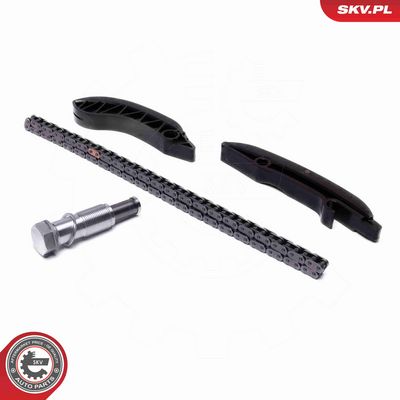 CHIT LANT DE DISTRIBUTIE ESEN SKV 21SKV249 1