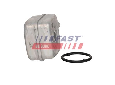 RADIATOR ULEI ULEI MOTOR FAST FT00655 8